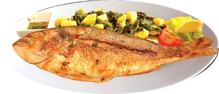 Orata